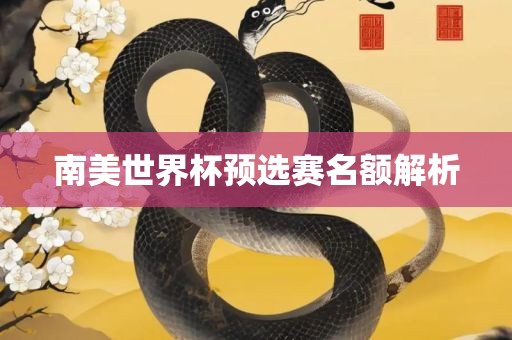 南美世界杯预选赛名额解析