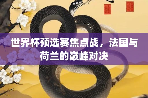 世界杯预选赛焦点战，法国与荷兰的巅峰对决