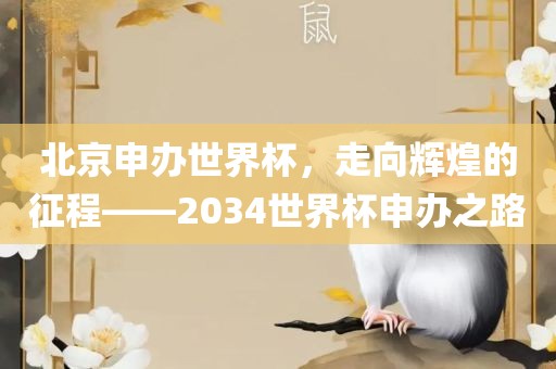北京申办世界杯，走向辉煌的征程——2034世界杯申办之路