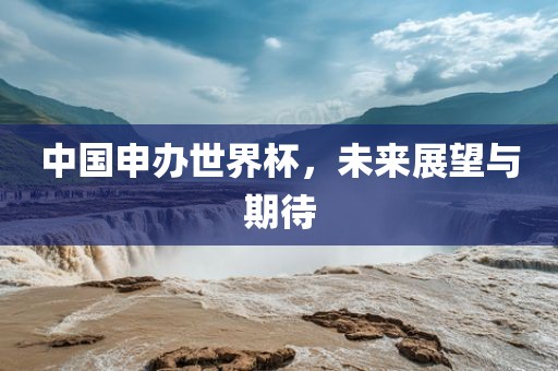 中国申办世界杯，未来展望与期待