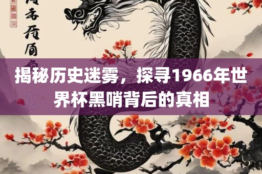揭秘历史迷雾，探寻1966年世界杯黑哨背后的真相