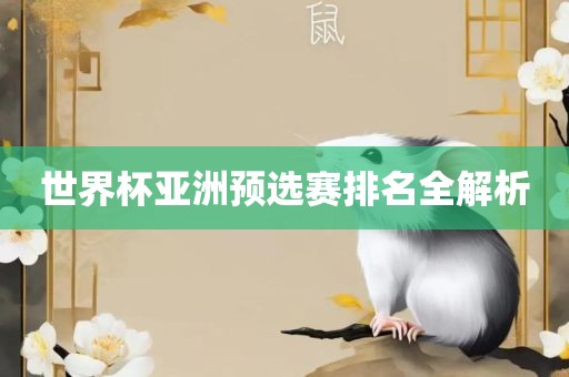 世界杯亚洲预选赛排名全解析