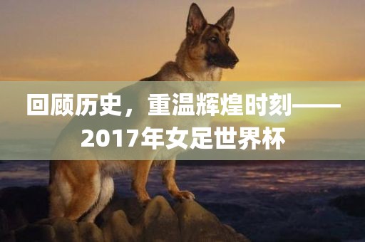 回顾历史，重温辉煌时刻——2017年女足世界杯