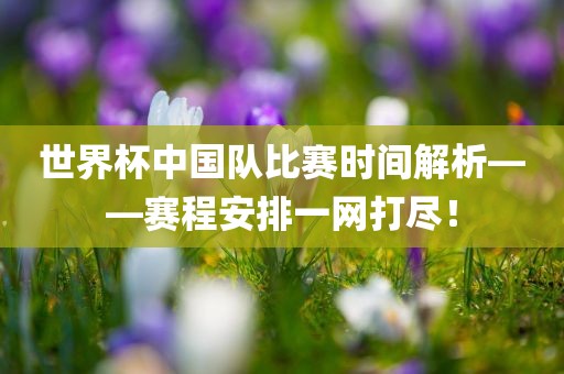 世界杯中国队比赛时间解析——赛程安排一网打尽！