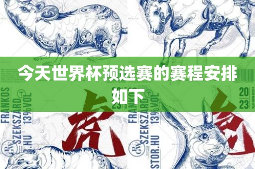 今天世界杯预选赛的赛程安排如下