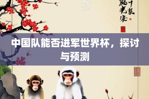 中国队能否进军世界杯，探讨与预测