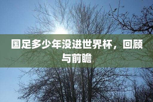 国足多少年没进世界杯，回顾与前瞻