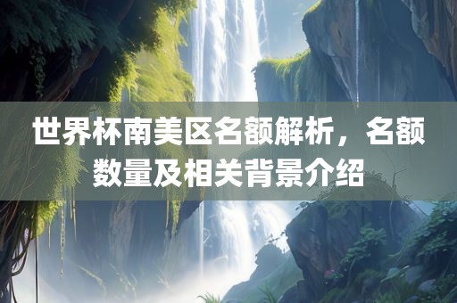世界杯南美区名额解析，名额数量及相关背景介绍