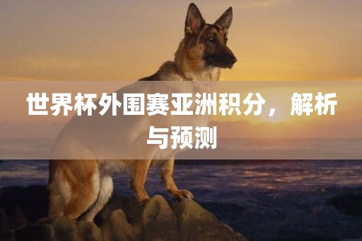 世界杯外围赛亚洲积分，解析与预测