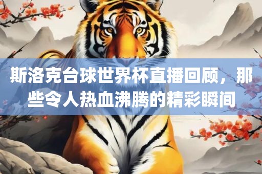 斯洛克台球世界杯直播回顾，那些令人热血沸腾的精彩瞬间