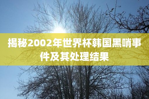 揭秘2002年世界杯韩国黑哨事件及其处理结果