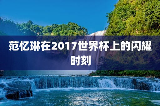 范忆琳在2017世界杯上的闪耀时刻
