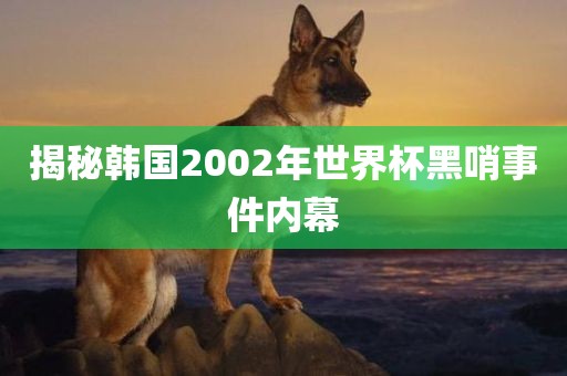 揭秘韩国2002年世界杯黑哨事件内幕