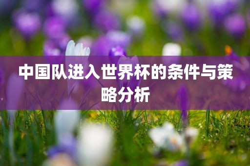 中国队进入世界杯的条件与策略分析