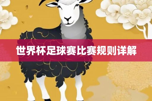 世界杯足球赛比赛规则详解