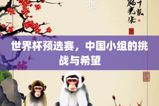 世界杯预选赛，中国小组的挑战与希望