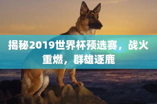 揭秘2019世界杯预选赛，战火重燃，群雄逐鹿