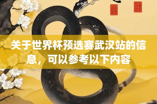 关于世界杯预选赛武汉站的信息，可以参考以下内容