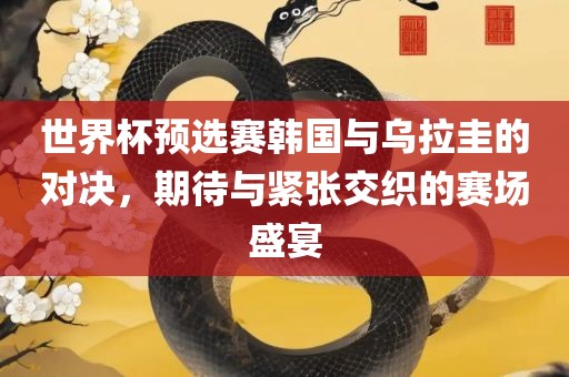 世界杯预选赛韩国与乌拉圭的对决，期待与紧张交织的赛场盛宴