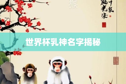 世界杯乳神名字揭秘