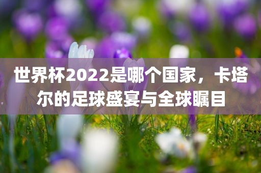 世界杯2022是哪个国家，卡塔尔的足球盛宴与全球瞩目