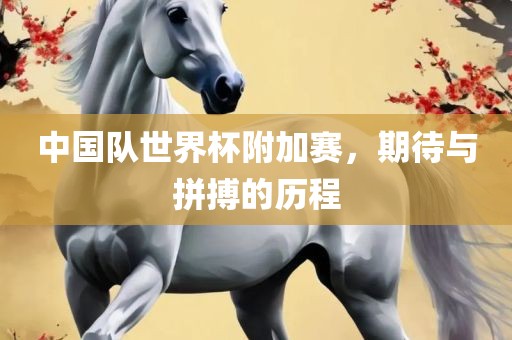 中国队世界杯附加赛，期待与拼搏的历程
