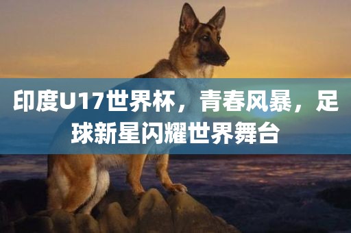 印度U17世界杯，青春风暴，足球新星闪耀世界舞台