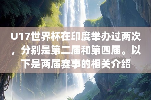 U17世界杯在印度举办过两次，分别是第二届和第四届。以下是两届赛事的相关介绍