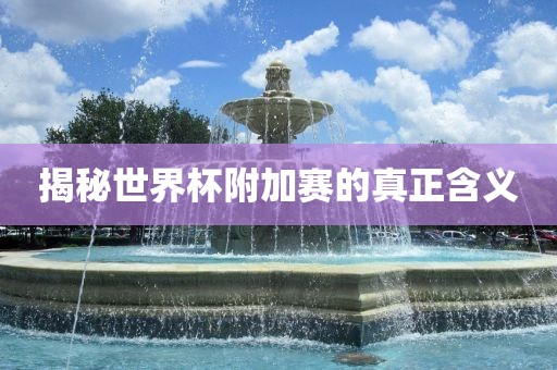 揭秘世界杯附加赛的真正含义