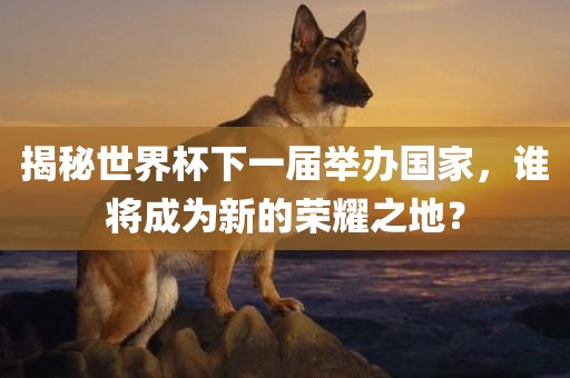 揭秘世界杯下一届举办国家，谁将成为新的荣耀之地？