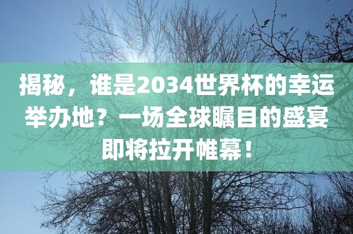 揭秘，谁是2034世界杯的幸运举办地？一场全球瞩目的盛宴即将拉开帷幕！