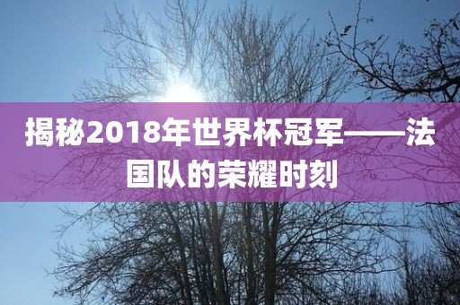 揭秘2018年世界杯冠军——法国队的荣耀时刻