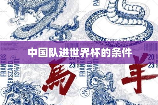 中国队进世界杯的条件