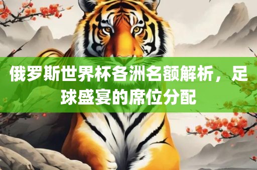 俄罗斯世界杯各洲名额解析，足球盛宴的席位分配
