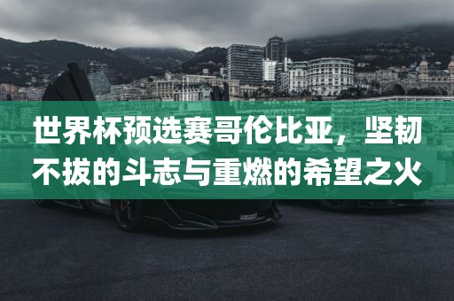 世界杯预选赛哥伦比亚，坚韧不拔的斗志与重燃的希望之火