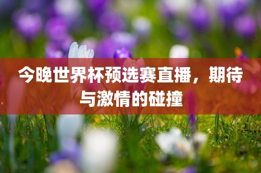 今晚世界杯预选赛直播，期待与激情的碰撞