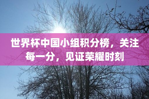 世界杯中国小组积分榜，关注每一分，见证荣耀时刻