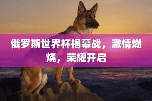 俄罗斯世界杯揭幕战，激情燃烧，荣耀开启