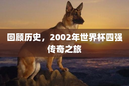 回顾历史，2002年世界杯四强传奇之旅
