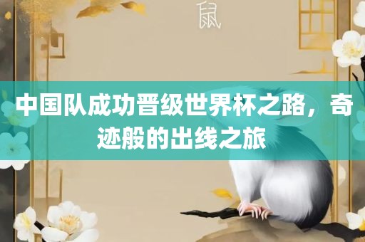中国队成功晋级世界杯之路，奇迹般的出线之旅
