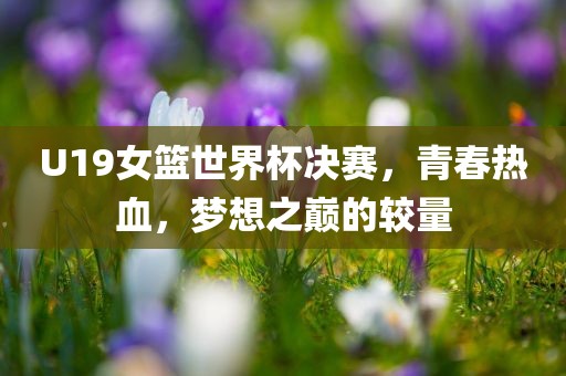 U19女篮世界杯决赛，青春热血，梦想之巅的较量