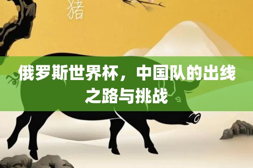 俄罗斯世界杯，中国队的出线之路与挑战
