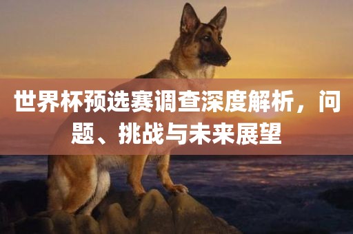 世界杯预选赛调查深度解析，问题、挑战与未来展望
