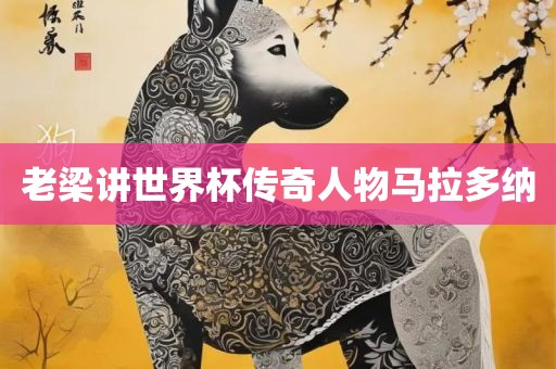 老梁讲世界杯传奇人物马拉多纳