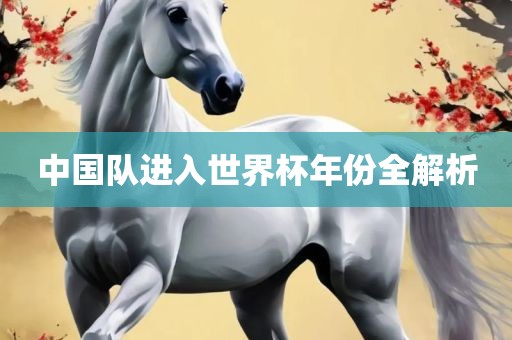 中国队进入世界杯年份全解析