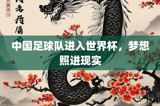 中国足球队进入世界杯，梦想照进现实