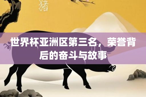 世界杯亚洲区第三名，荣誉背后的奋斗与故事
