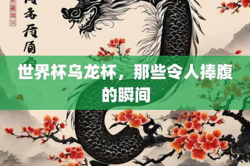 世界杯乌龙杯，那些令人捧腹的瞬间
