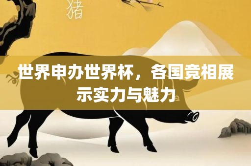 世界申办世界杯，各国竞相展示实力与魅力