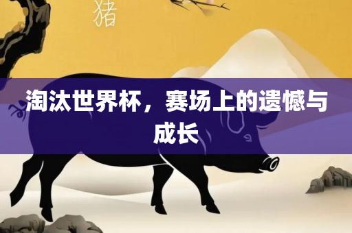 淘汰世界杯，赛场上的遗憾与成长